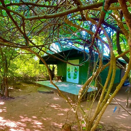 Yala Podi Hoona Bush Camp Hotel ภายนอก รูปภาพ
