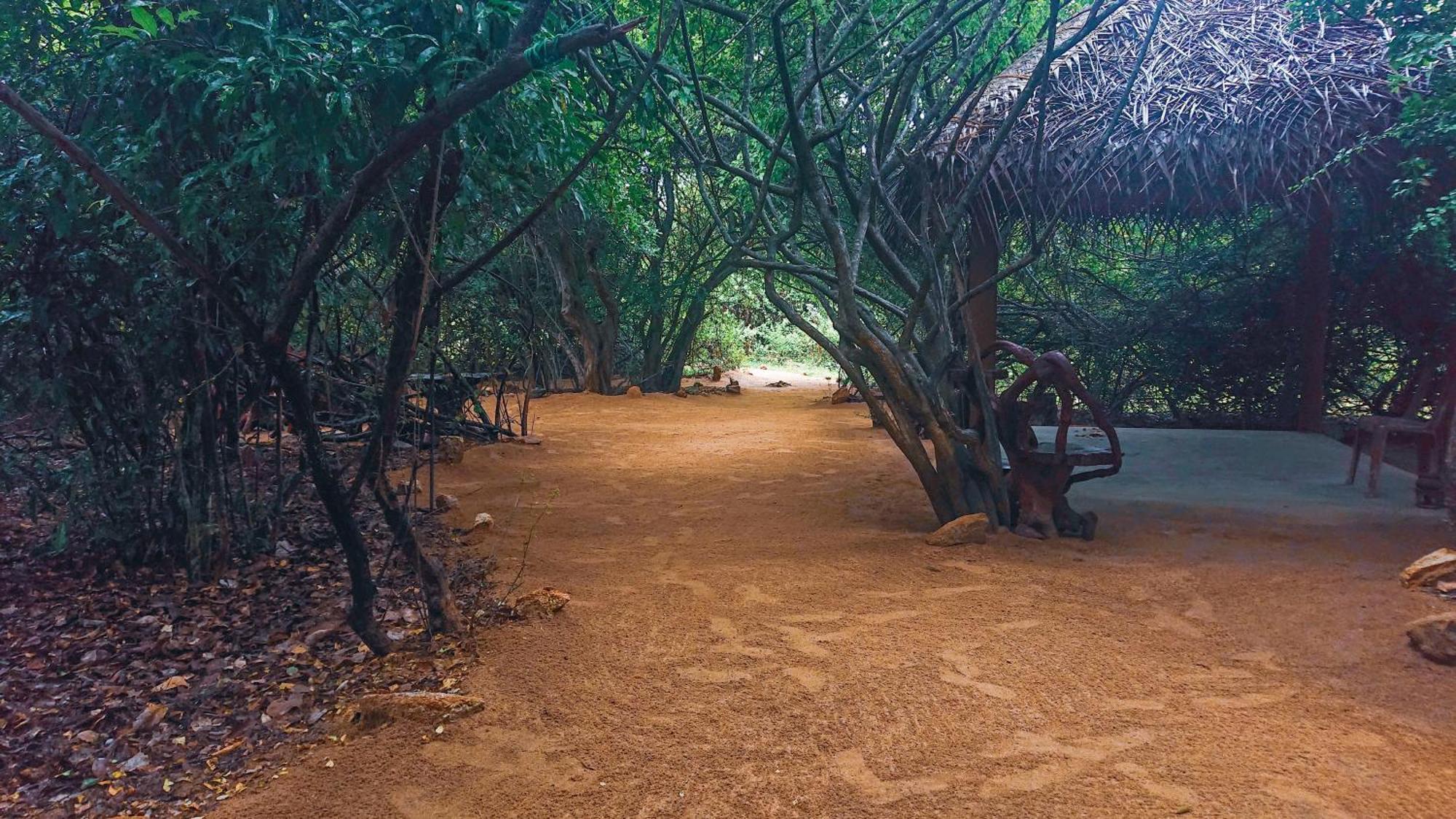Yala Podi Hoona Bush Camp Hotel ภายนอก รูปภาพ